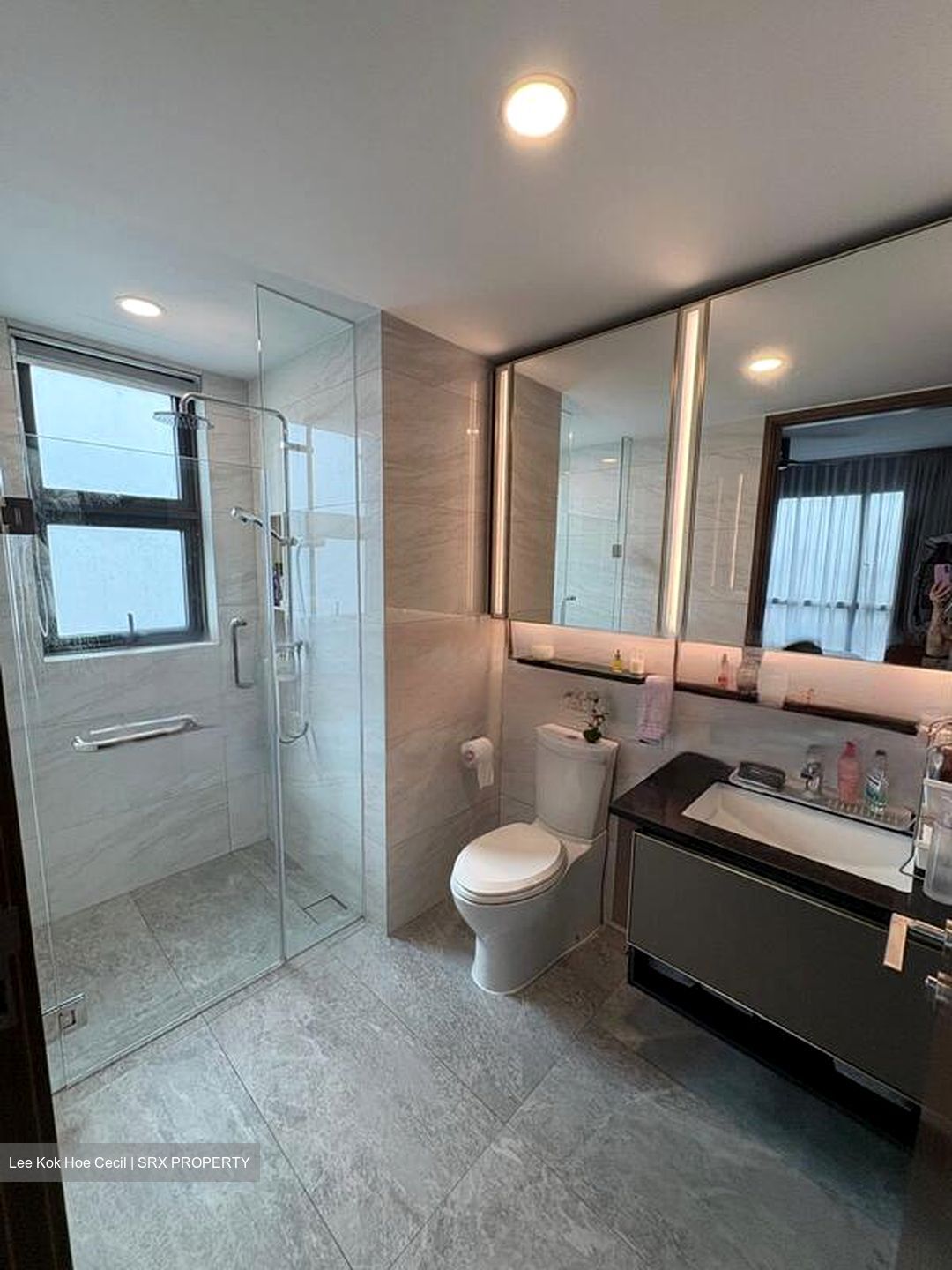 Normanton Park (D5), Apartment #453788961